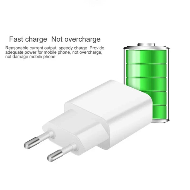 5V 2A EU US Type-C Micro USB Cable
