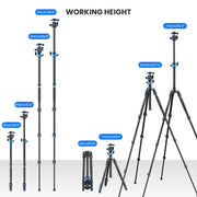 TP6  Professional Horizontal Tripod