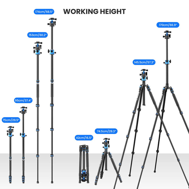 TP6  Professional Horizontal Tripod