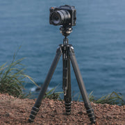 Ulanzi Falcam TreeRoot Quick Lock Travel Tripod