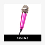 New Portable 3.5mm Stereo Studio Mic